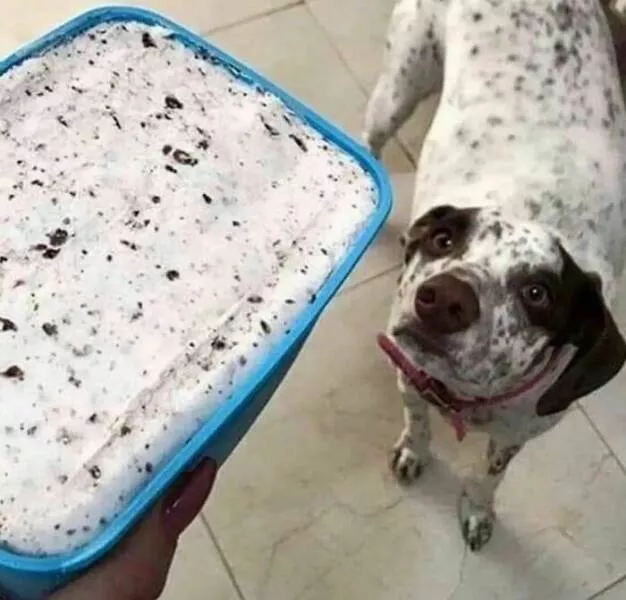 Food humor - #18 