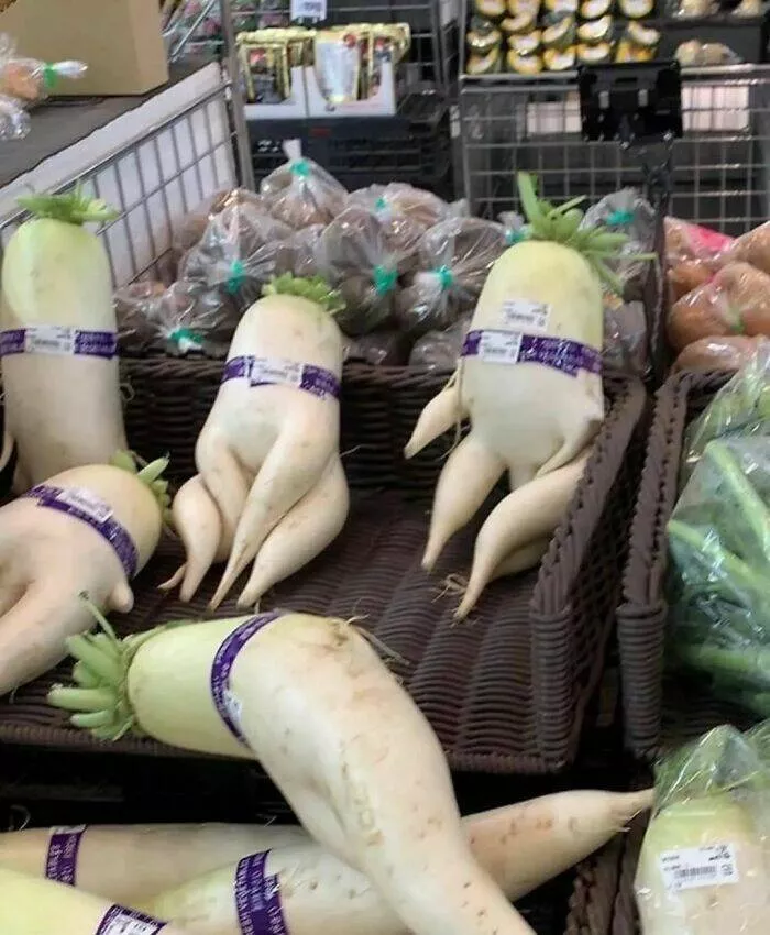 Food humor - #20 