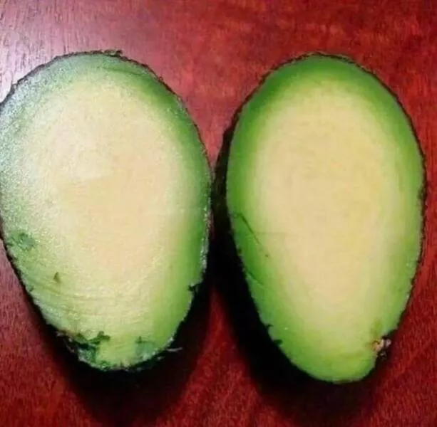 Humour alimentaire - #29 