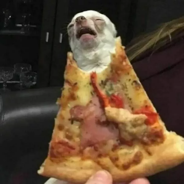 Food humor - #30 