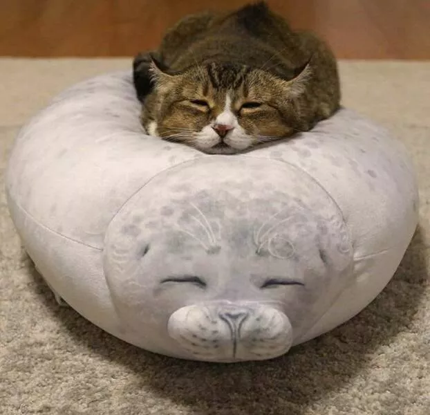 Picdump 663 - #15 