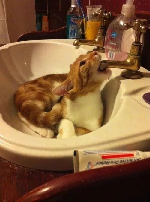 Picdump 663 - #45 