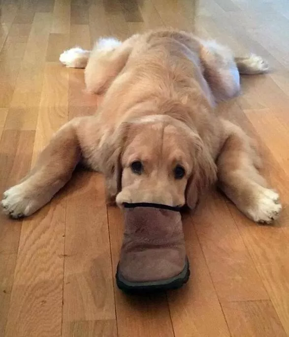 Picdump 663 - #49 