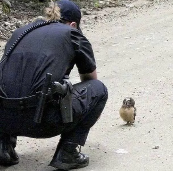 Picdump 664 - #18 