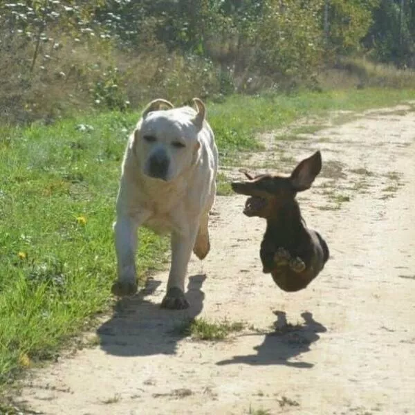 Picdump 664 - #45 