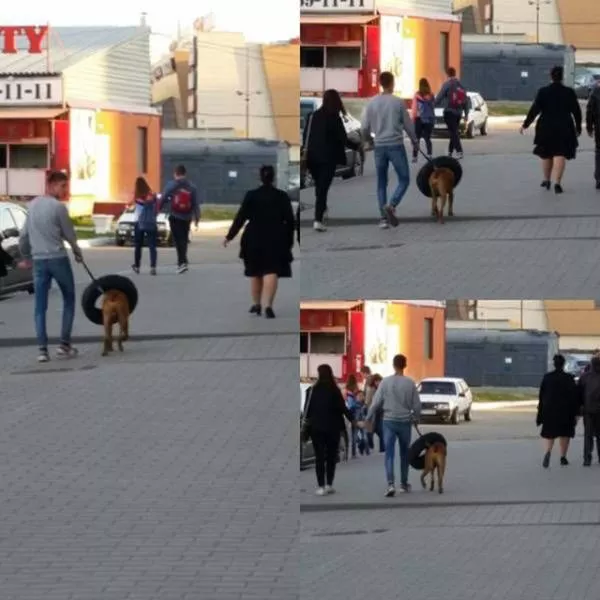 Picdump 98 - #11 