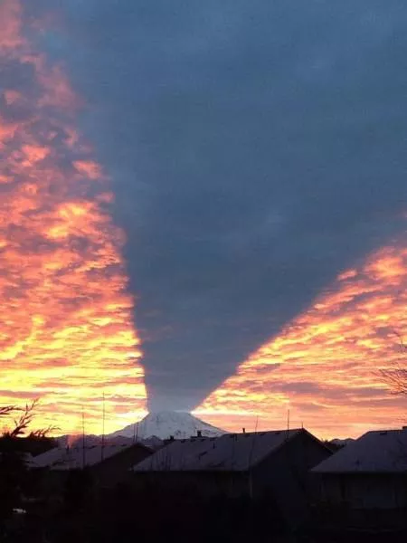 Picdump 98 - #2 