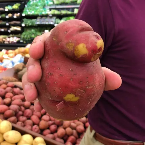 Picdump 98 - #30 