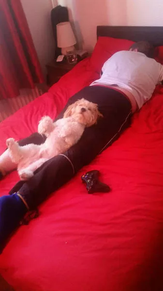 Picdump 98 - #40 