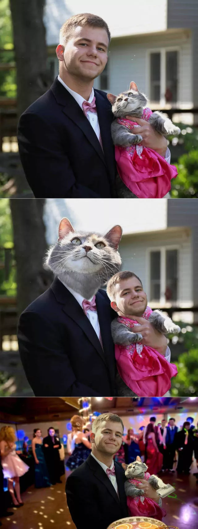 Picdump 98 - #53 