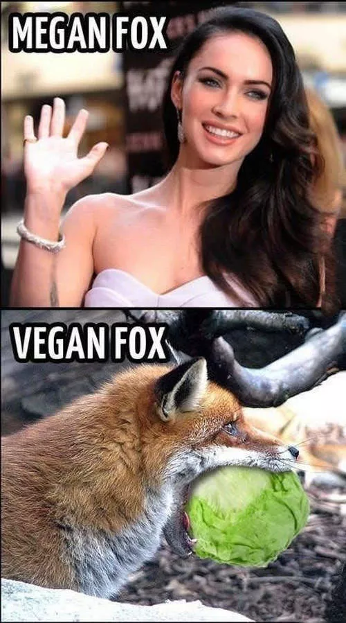 Picdump 98 - #57 