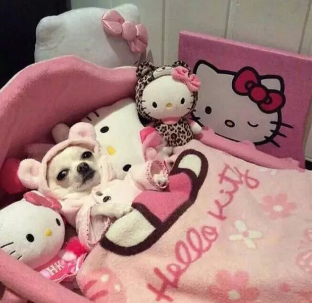 Picdump 98 - #63 