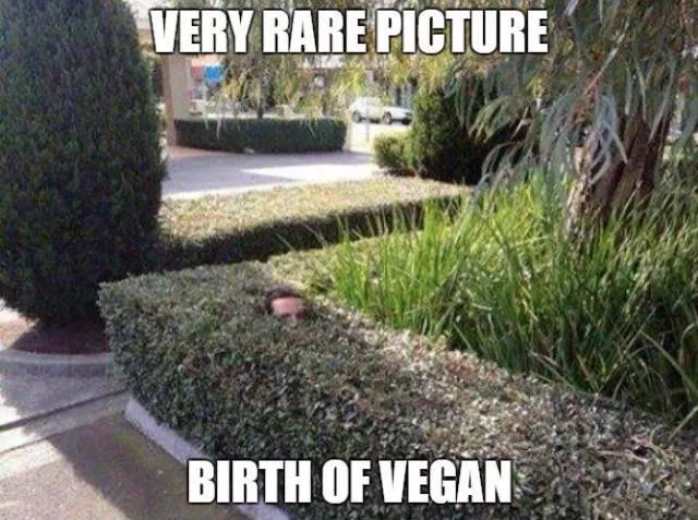 Picdump 98 - #69 