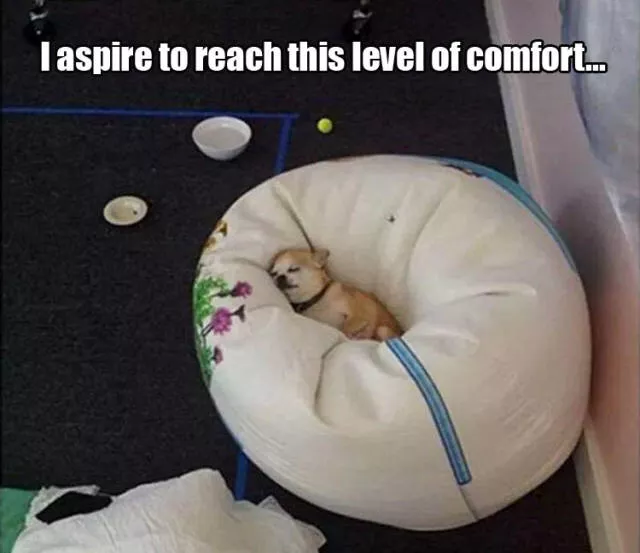 Picdump 98 - #77 