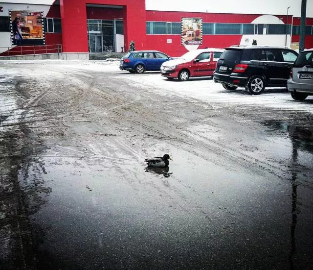 Picdump 98 - #9 