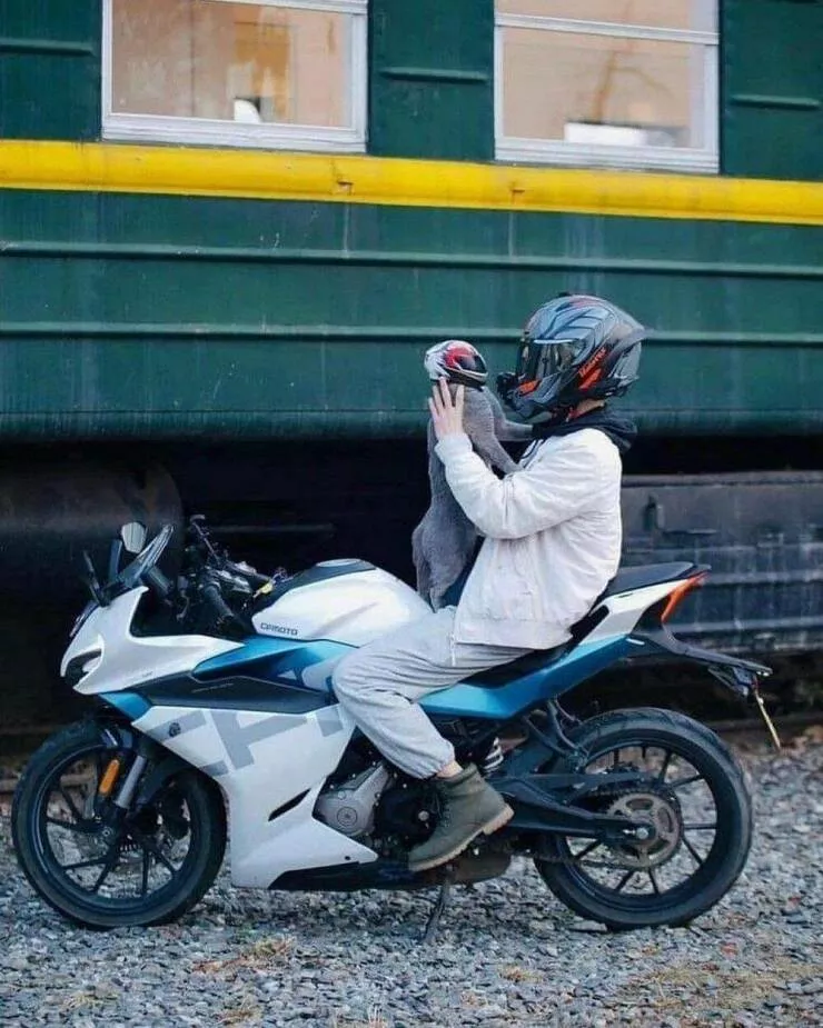 Picdump 665 - #13 