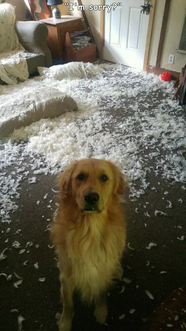 Picdump 665 - #15 