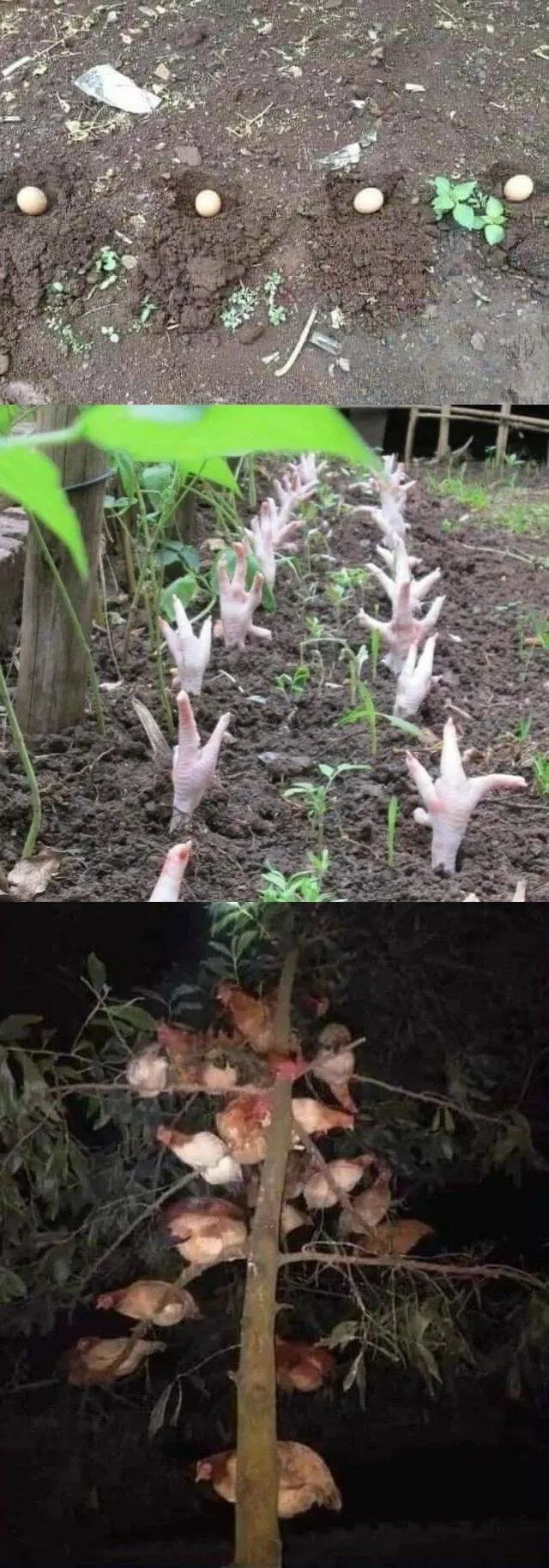 Picdump 665 - #28 