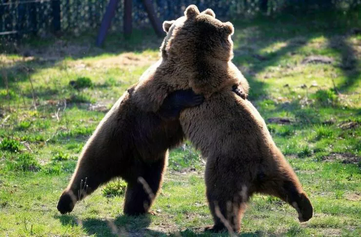 Picdump 665 - #37 