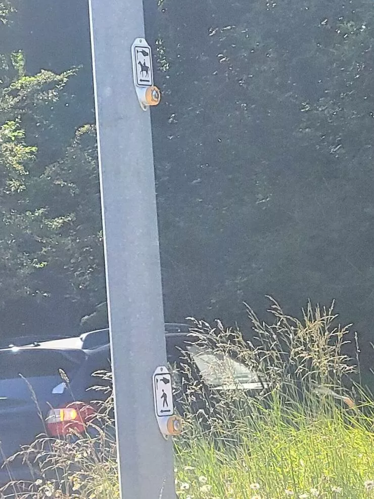 Une bonne collection de photo pour bien demarrer la journee - #10 