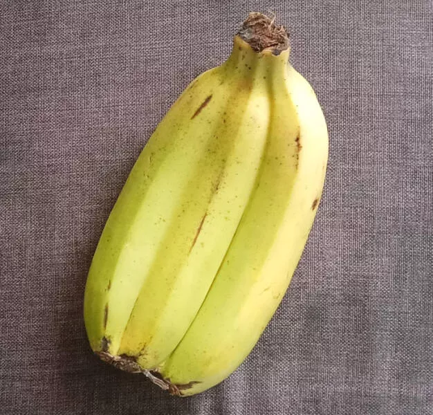 Les merveilles que la nature nous offre - #1 