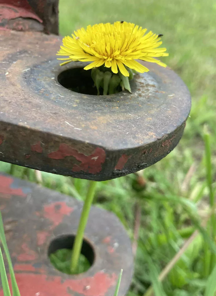 Les merveilles que la nature nous offre - #18 