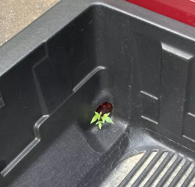 Les merveilles que la nature nous offre - #6 