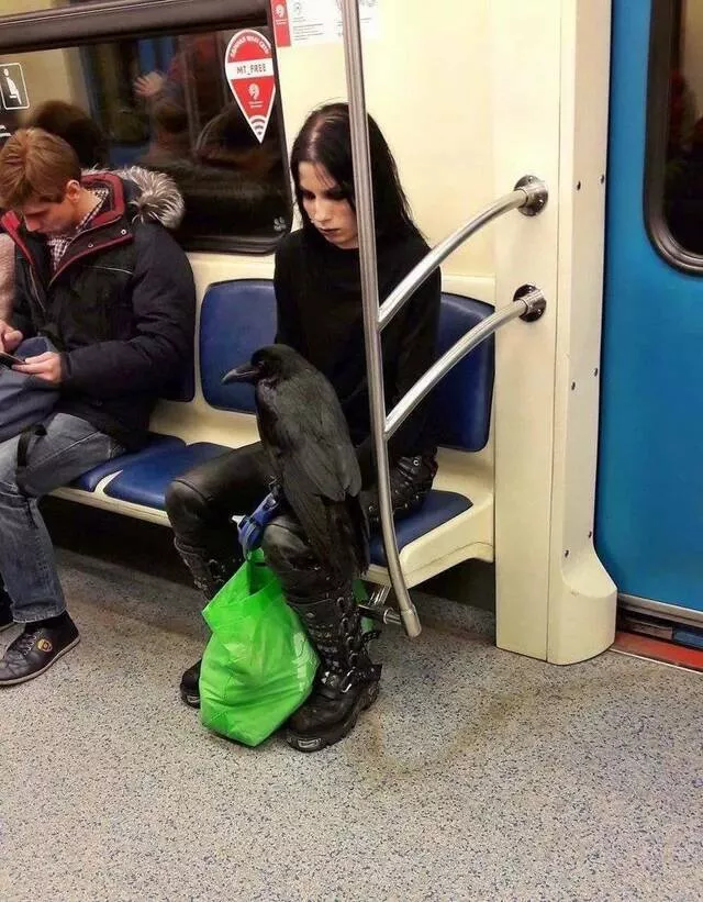 Picdump 666 - #12 