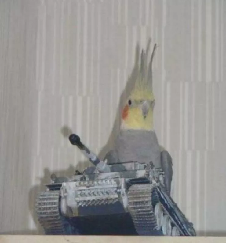 Picdump 666 - #45 