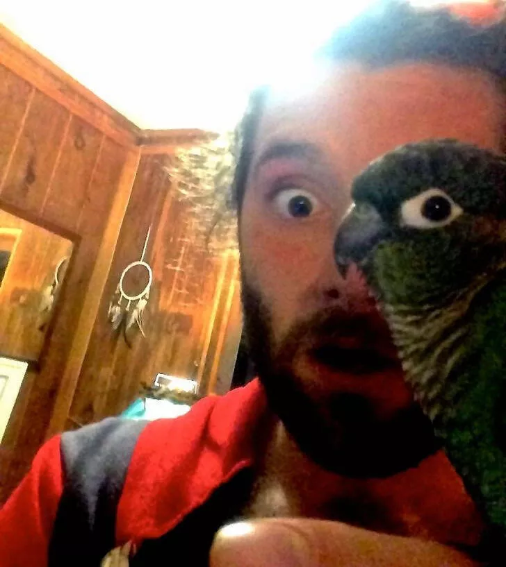 Unexpected surprises in every picture - #9 