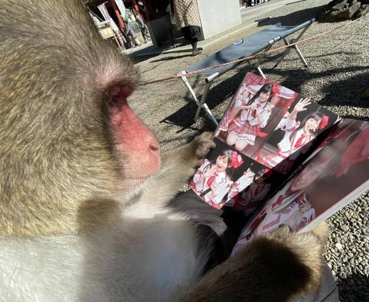 Picdump 667 - #22 