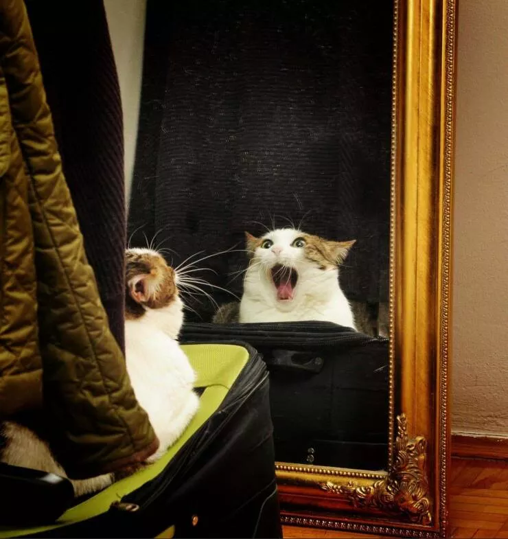Picdump 667 - #42 