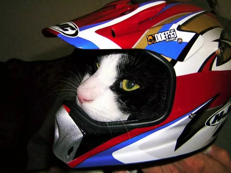 Picdump 667 - #59 