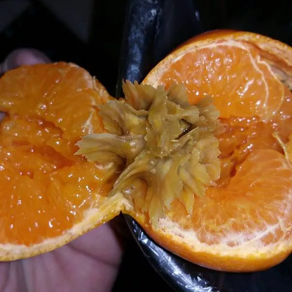 Simple ways to create the best wtf - #23 