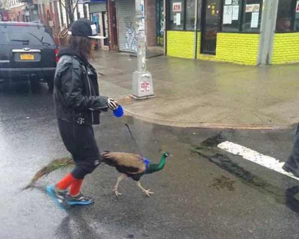 Simple ways to create the best wtf - #3 