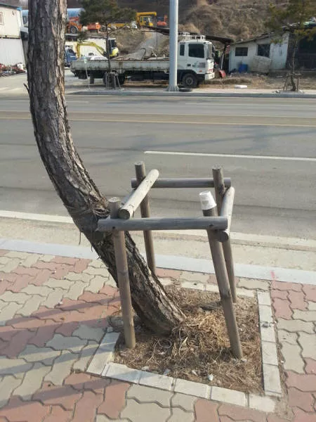 Simple ways to create the best wtf - #7 