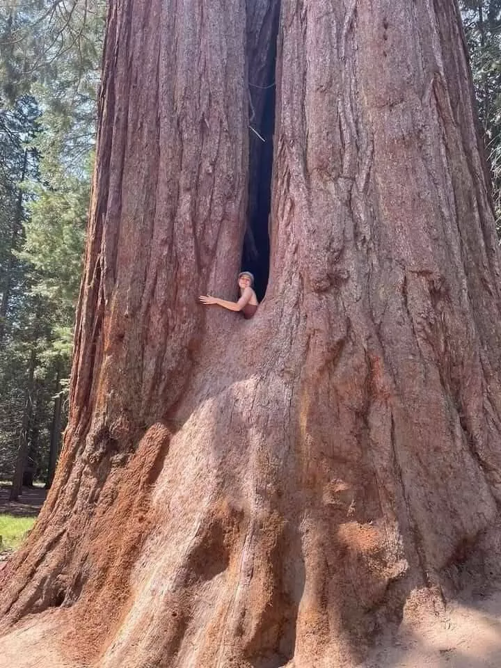 Picdump 668 - #13 