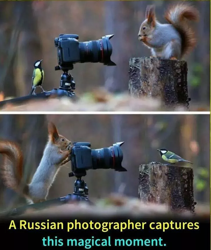 Picdump 668 - #20 