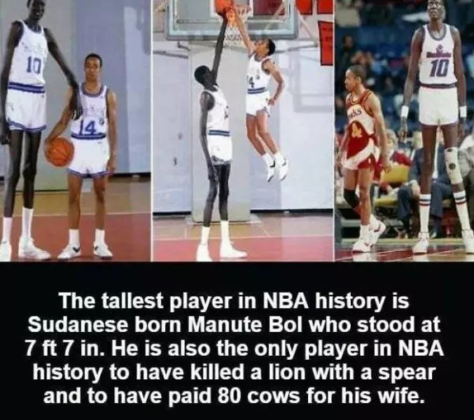 Random and surprising facts - #1 