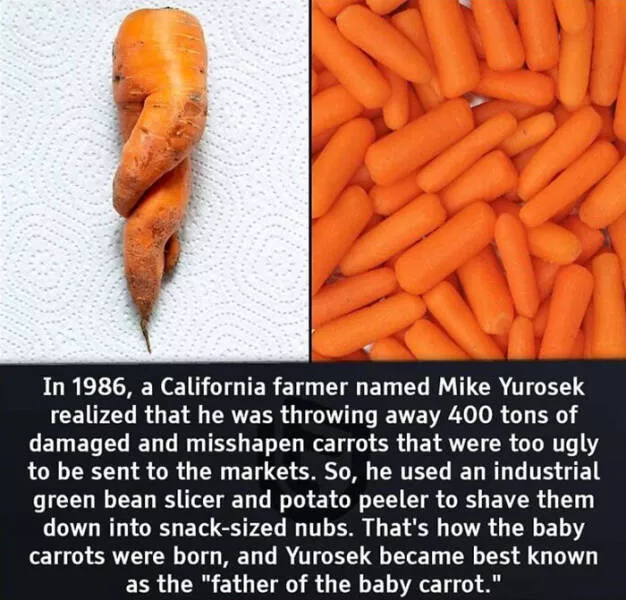 Random and surprising facts - #11 
