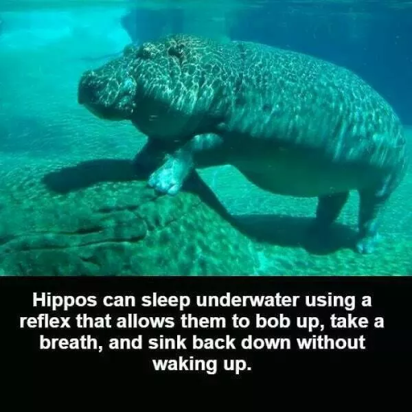 Random and surprising facts - #14 