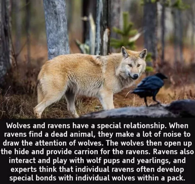 Random and surprising facts - #33 Random and surprising facts - #33