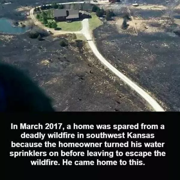 Random and surprising facts - #5 