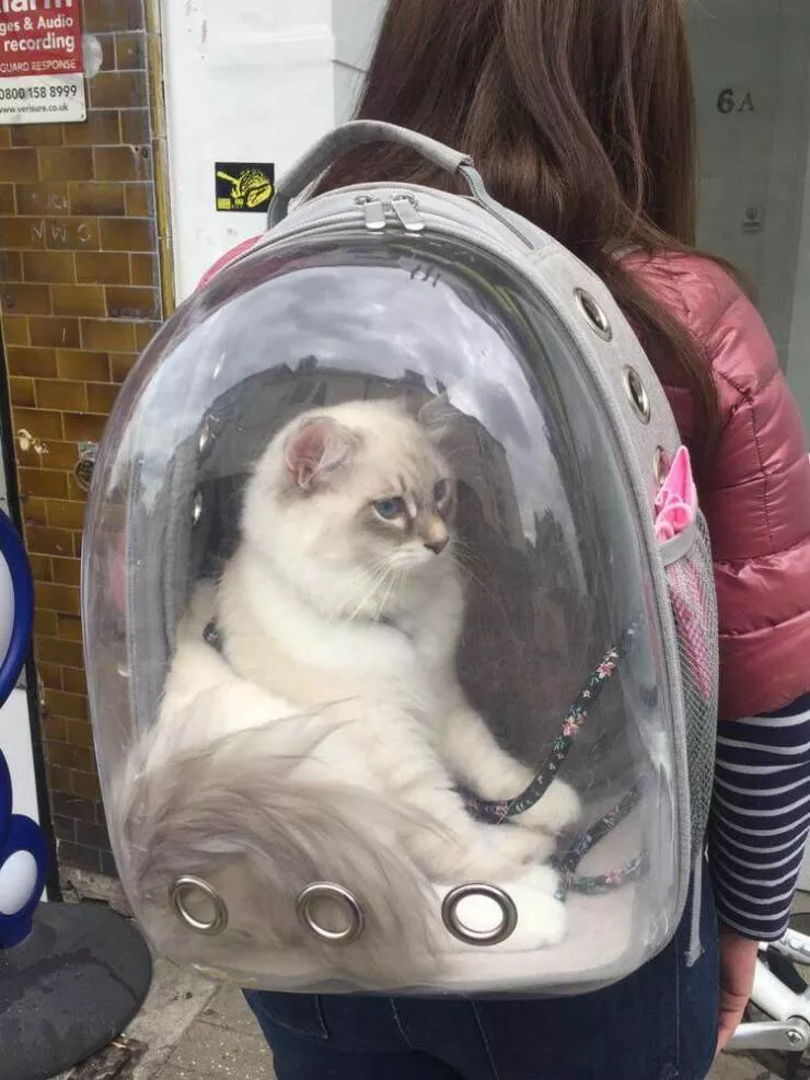 Picdump 669 - #11 