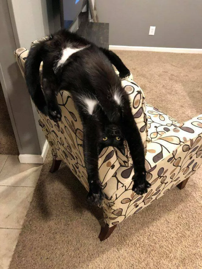 Picdump 669 - #48 