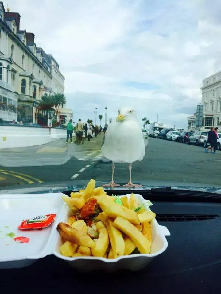 Picdump 669 - #52 