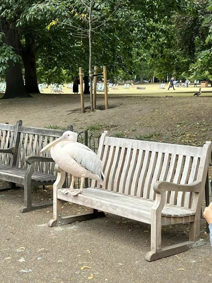 Picdump 669 - #59 
