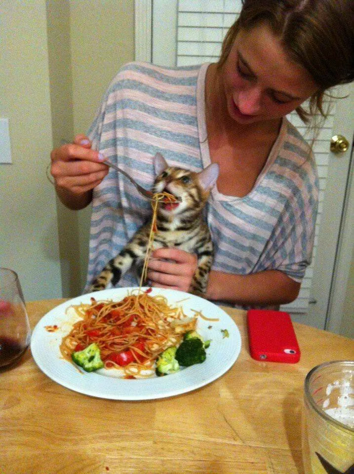 Picdump 670 - #11 