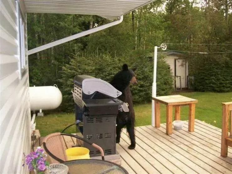 Picdump 670 - #3 
