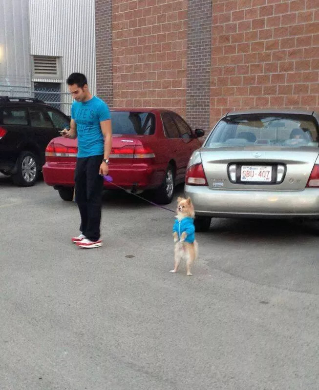 Picdump 670 - #36 